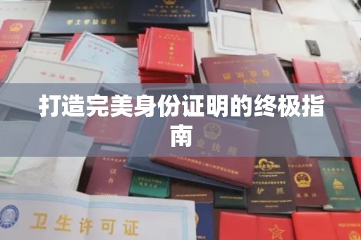 巴青打造完美身份证明的终极指南