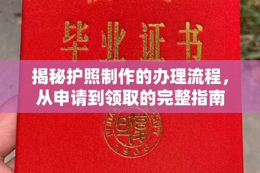 巴青揭秘护照制作的办理流程，从申请到领取的完整指南
