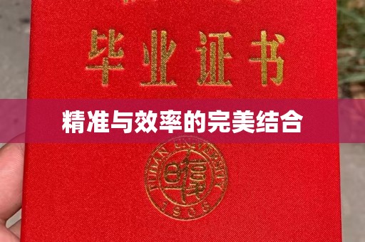 巴青精准与效率的完美结合